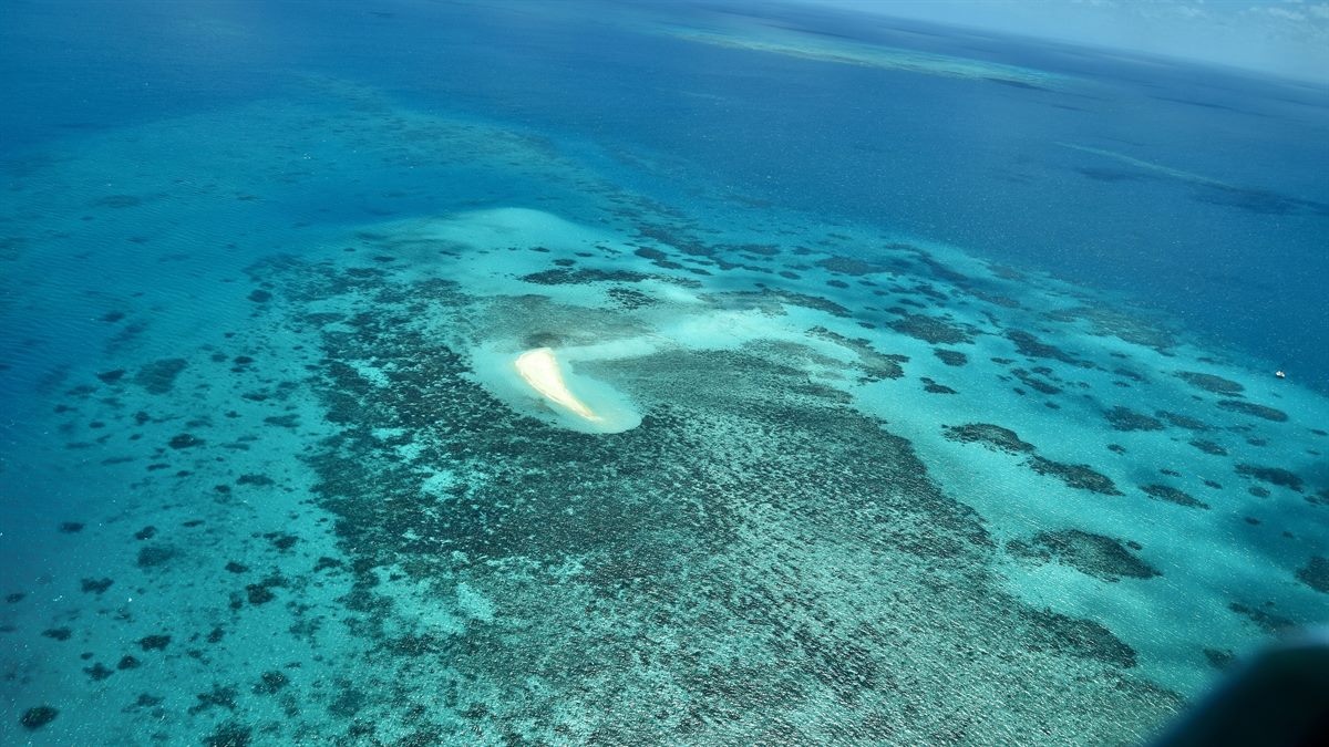 Vista aérea da Grande Barreira de Corais, Queensland, Austrália, com tons de azul e recifes; experiência autêntica de snorkel e turismo marinho.
